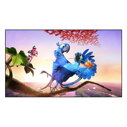 Como a tela de quadro fixo melhora sua experiência de visualização?