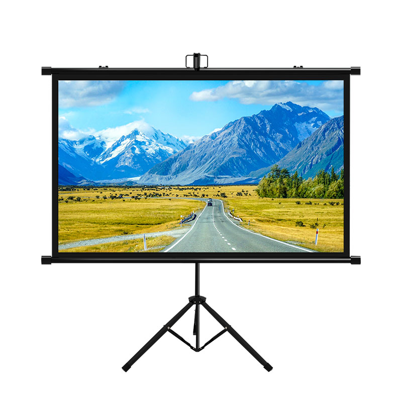 portable mobile screen